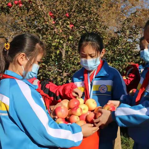“童心浇甜团结树    爱心育红友谊果”-----温泉县城镇小学举办第四届采摘节活动