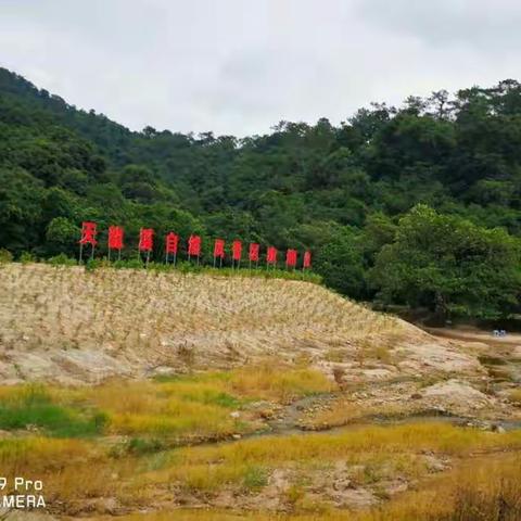 天龙溪野炊