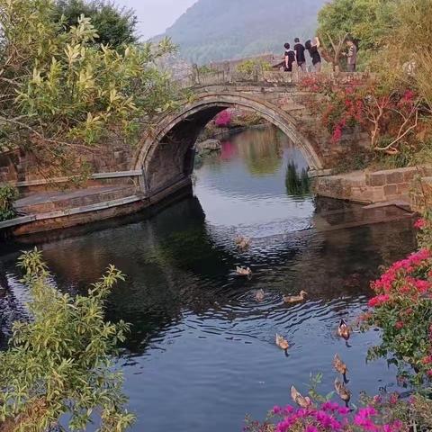 立夏：风暖人间草木香，一笺清浅入夏来作者：茶诗花 朗诵：中华朗诵文艺沙龙[图片]1.昕阳[语音]