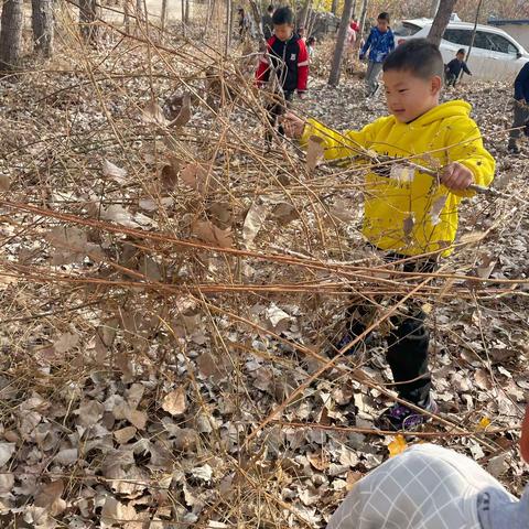 快来松棚幼儿园吃“烤地瓜”吧！