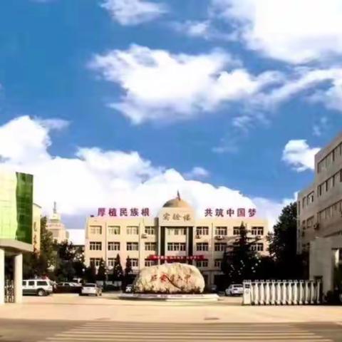 同舟共冀•与石俱进——石家庄市第六中学2019级八班抗击疫情行动掠影