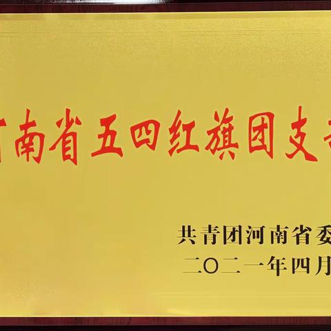 新乡县税务局团支部获得“河南省五四红旗团支部”荣誉称号