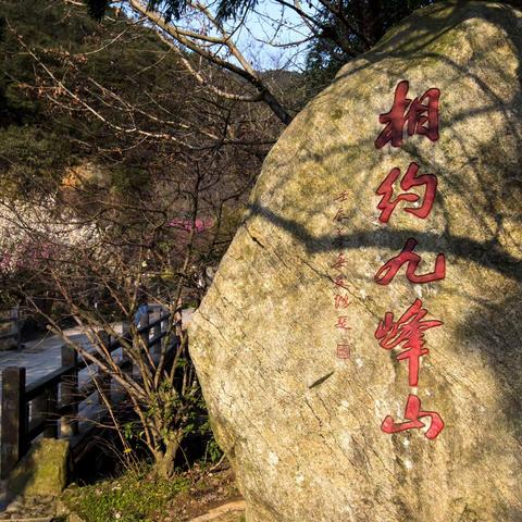 相约九峰山•梅园