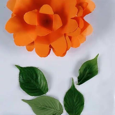 中班清明手工活动:菊花