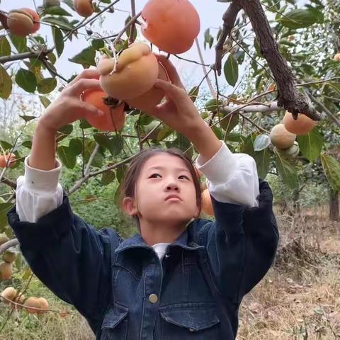 明星小学五年级国庆假期“走进秋天、体验收获”劳动实践活动