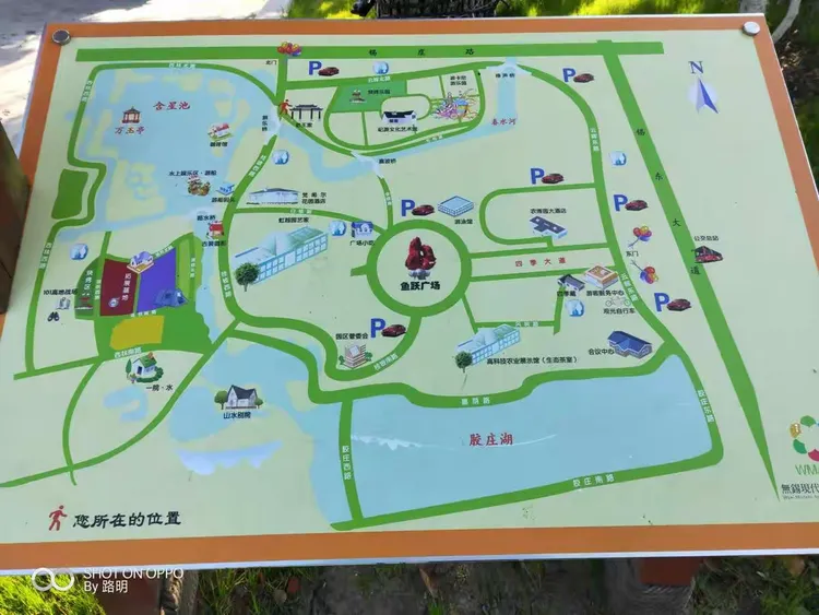 19年3月23日,空气优,阳光明媚,温度10℃.农博园呼吸春的气息!