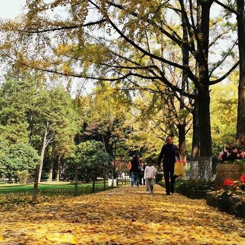 中山植物园／灵谷寺