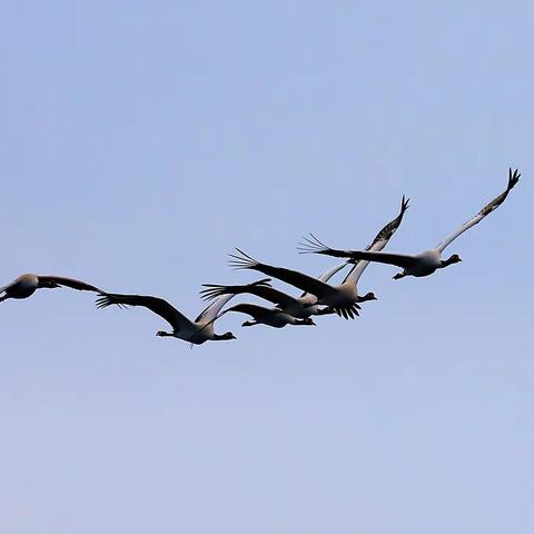 思念之湖—念湖