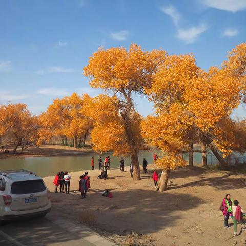 死如秋叶之静美