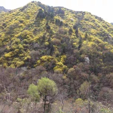 娘娘山一日游