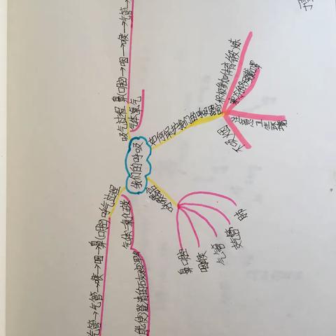 引爆思维的火种——朱吴二小以思维导图串联学生的学与思