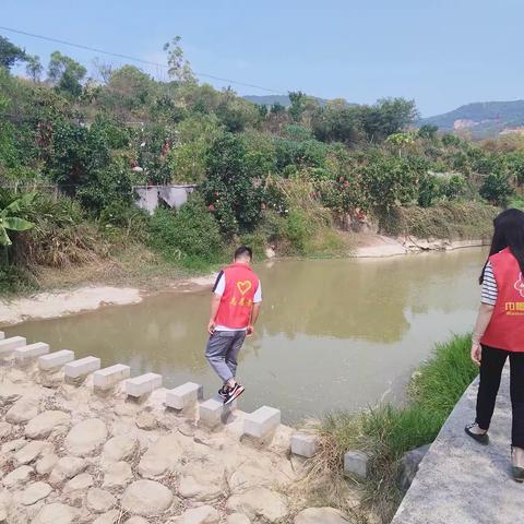 城头镇城头村积极开展河道环境整治工作