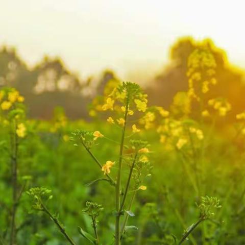 武汉加油！中国加油！