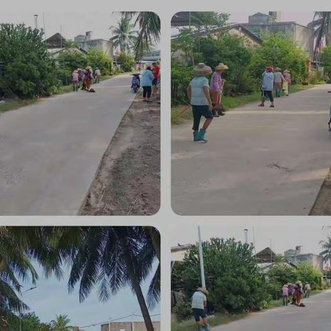 边海村党支部开展人居环境卫生整治行动—迎接党的二十大的胜利召开