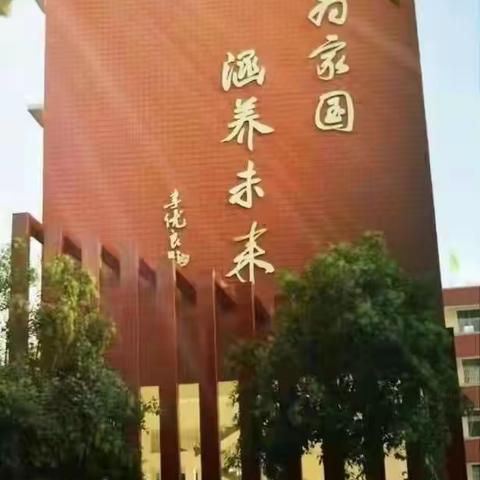 放飞梦想 翱翔蓝天 ——青山区“模型运动”社团班启动