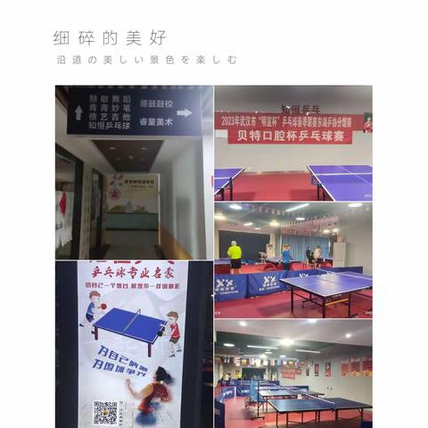 端午·东湖·乒乓 ——6月东湖乒协知恒月赛
