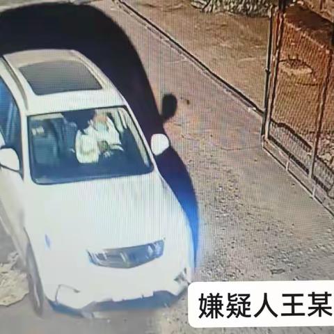 疫情过后迅速调整，精准研判助力抓捕
