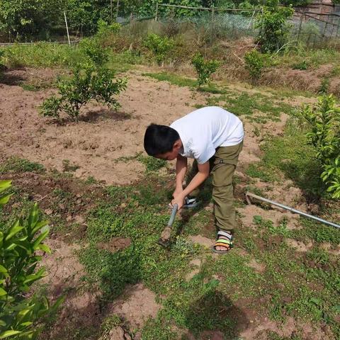 杨浚浩暑假分享