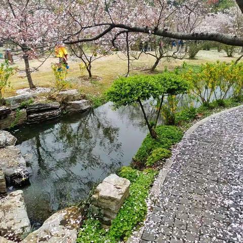 落花流水