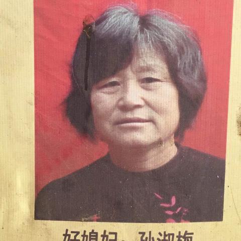 “真情永在，爱在孝道”——辛安一小少先队员寻访孝敬公婆好儿媳妇孙淑梅