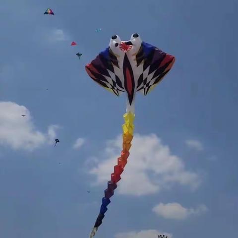 风筝中的海洋世界！