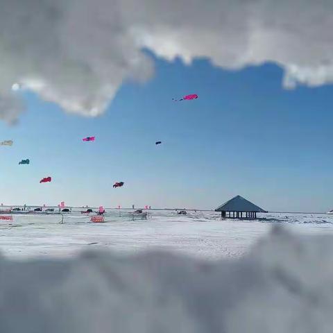 喜迎元旦  筝拥未来