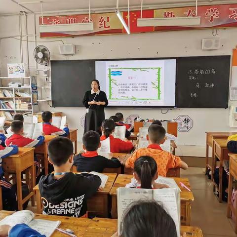 同课展风采，异构促提升——记来宾市实验小学三年级组韦爱华、石小艾老师同课异构教研活动