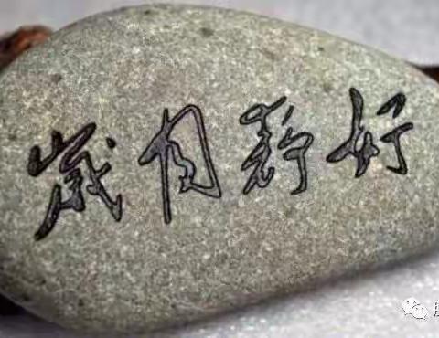 时光不老，我们不散！