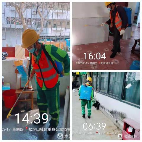 深爱绿化，圳美花开——北环大道3月第三周管养纪实