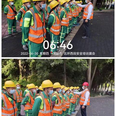 深爱绿化，圳美花开——北环大道6月管养工作纪实