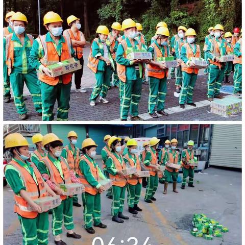 深爱绿化，圳美花开——北环大道8月管养工作纪实