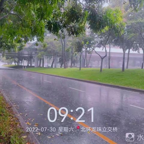 深爱绿化，圳美花开——北环大道7月管养工作纪实