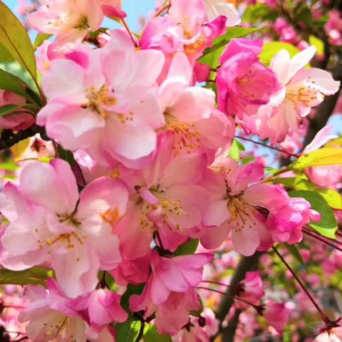 同心童行   学而不止