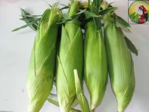 小一班生活篇之玩转玉米🌽