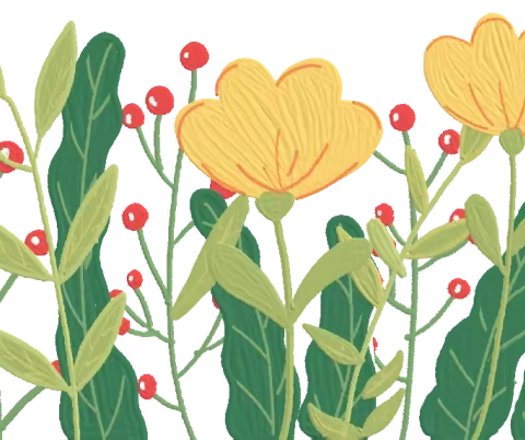 共研新课标 、助力新课堂