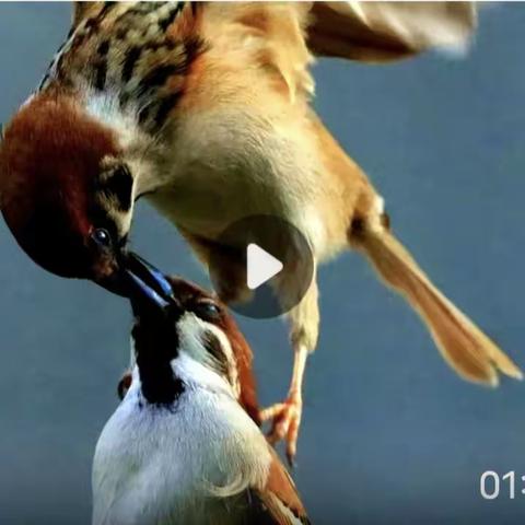 把命运牢牢的抓在自己手里