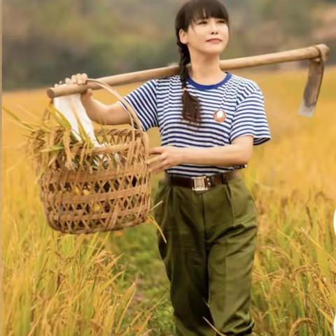 长寿金（第一章 怎么吃？）