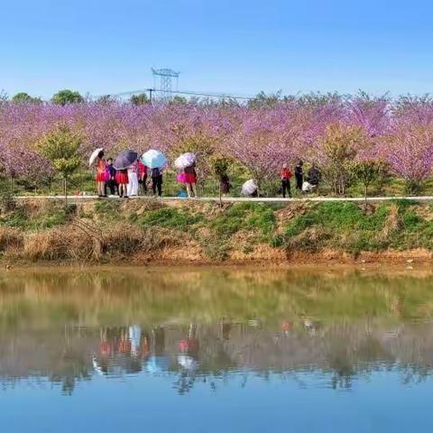 李和平（小桥韵味）的美篇