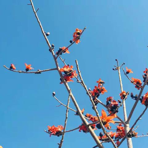 送教上门  恒爱如春