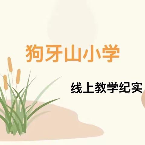 战“疫”不松懈 网课也精彩——狗牙山小学