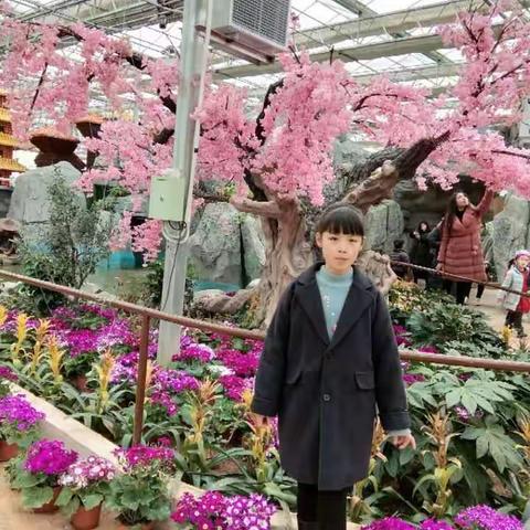 【肥乡区王庄小学督学责任区】过一个有意义的寒假