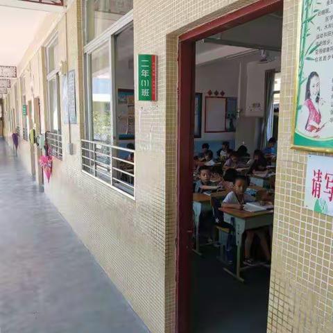 洋淇小学校性常规公开课