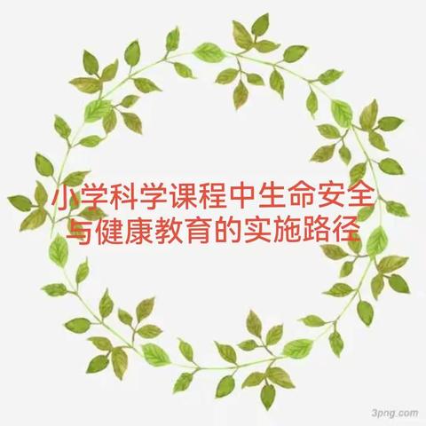 小学科学培训心得