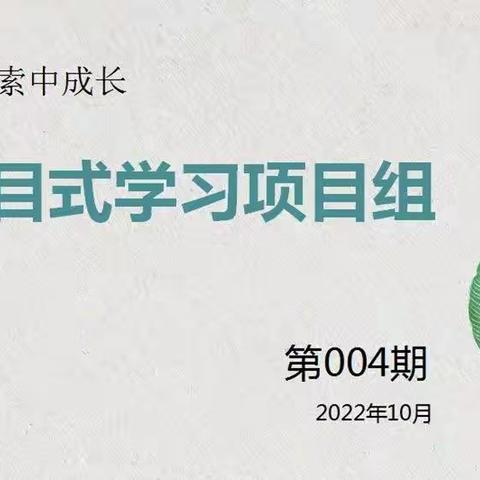 石家庄市长安区美术学科项目式研修