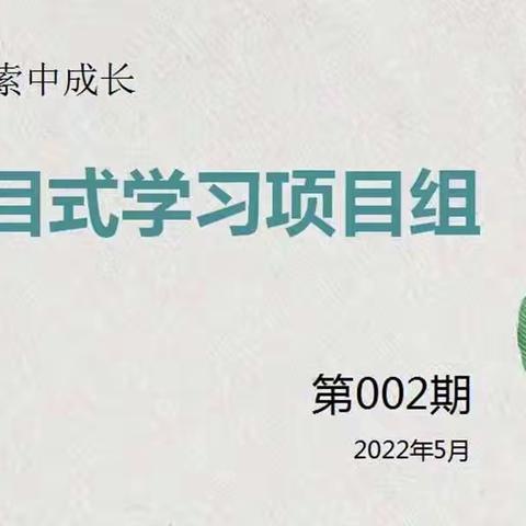 石家庄市长安区美术学科项目式研修