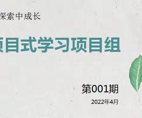 石家庄市长安区美术学科项目式研修