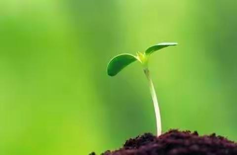 莫道浮云终蔽日，严冬过尽绽春蕾