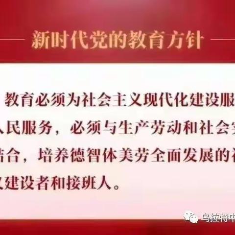 乐享“双减”数学组“每人一课”掠影