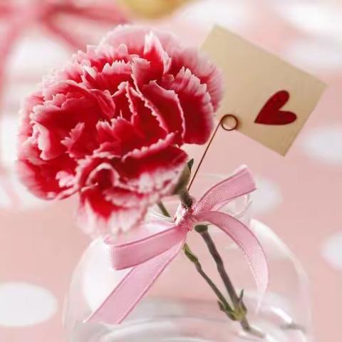 像康乃馨一样绽放——妈妈 我爱你💐💐💐৳৸ᵃᵑᵏ Ꮍ৹੫ᵎ