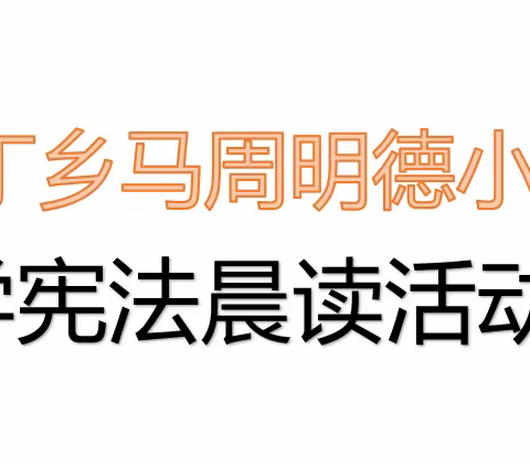 宪法伴我们成长——中丁乡马周明德小学举行学宪法活动